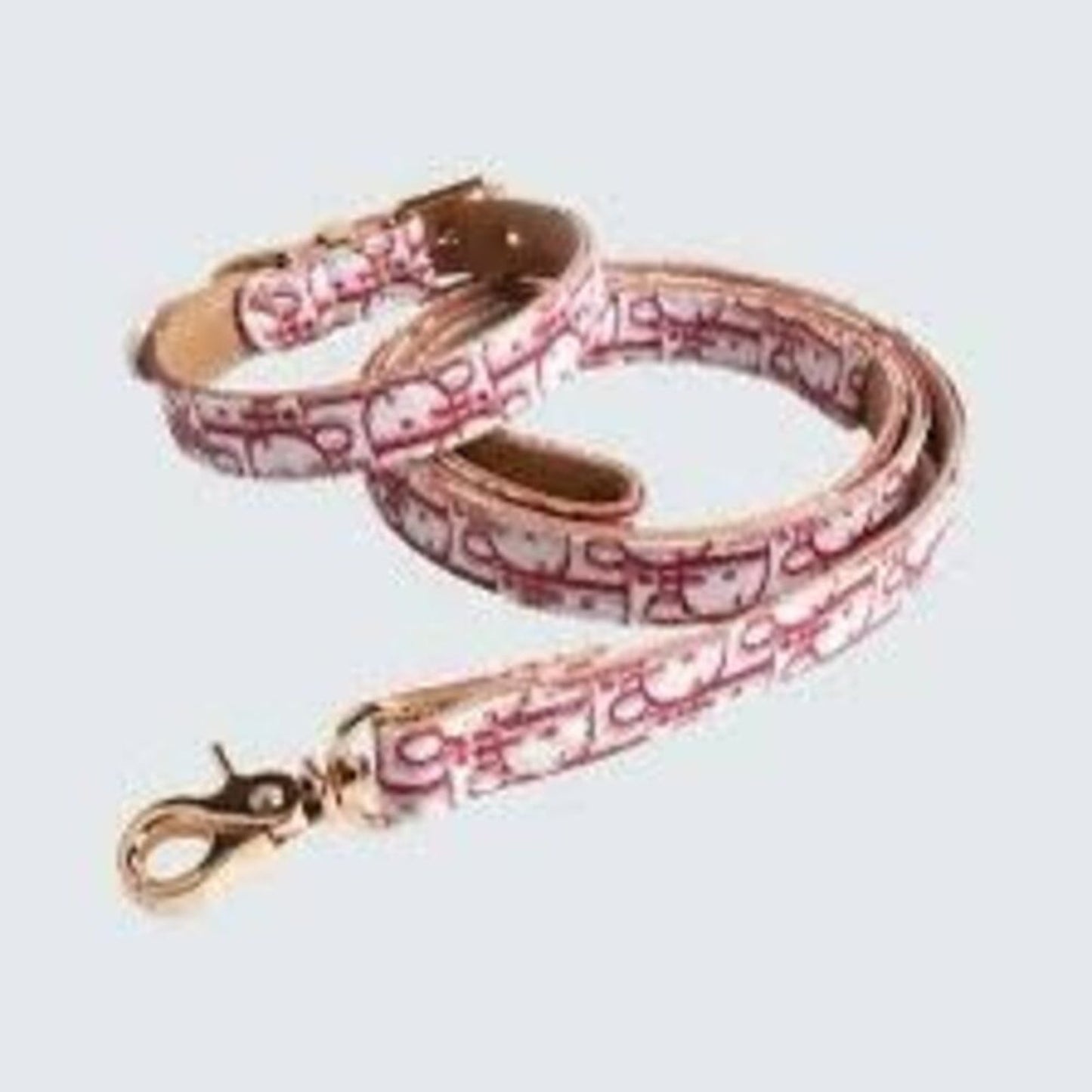 Dior Dog Leash Collar Trotter Set