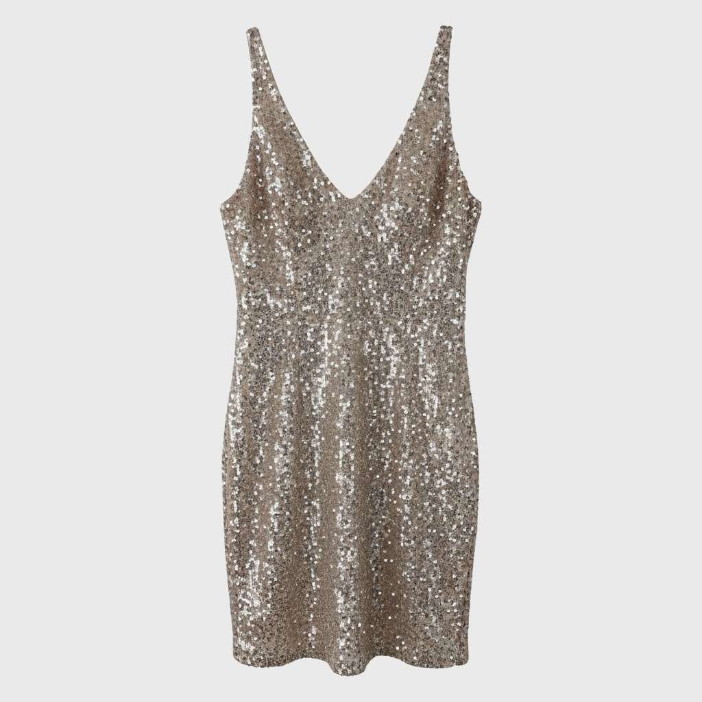 Sequin Dress