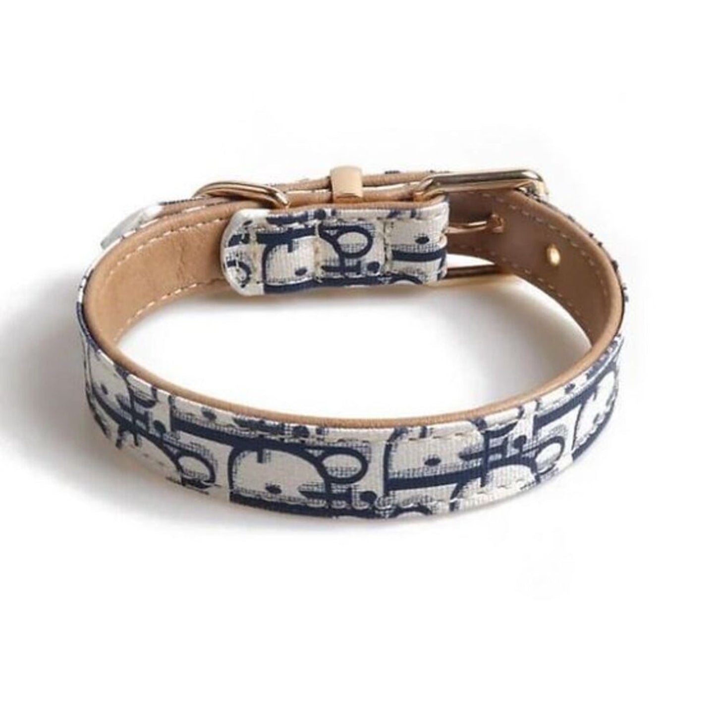 Dior Dog Leash Collar Trotter Set