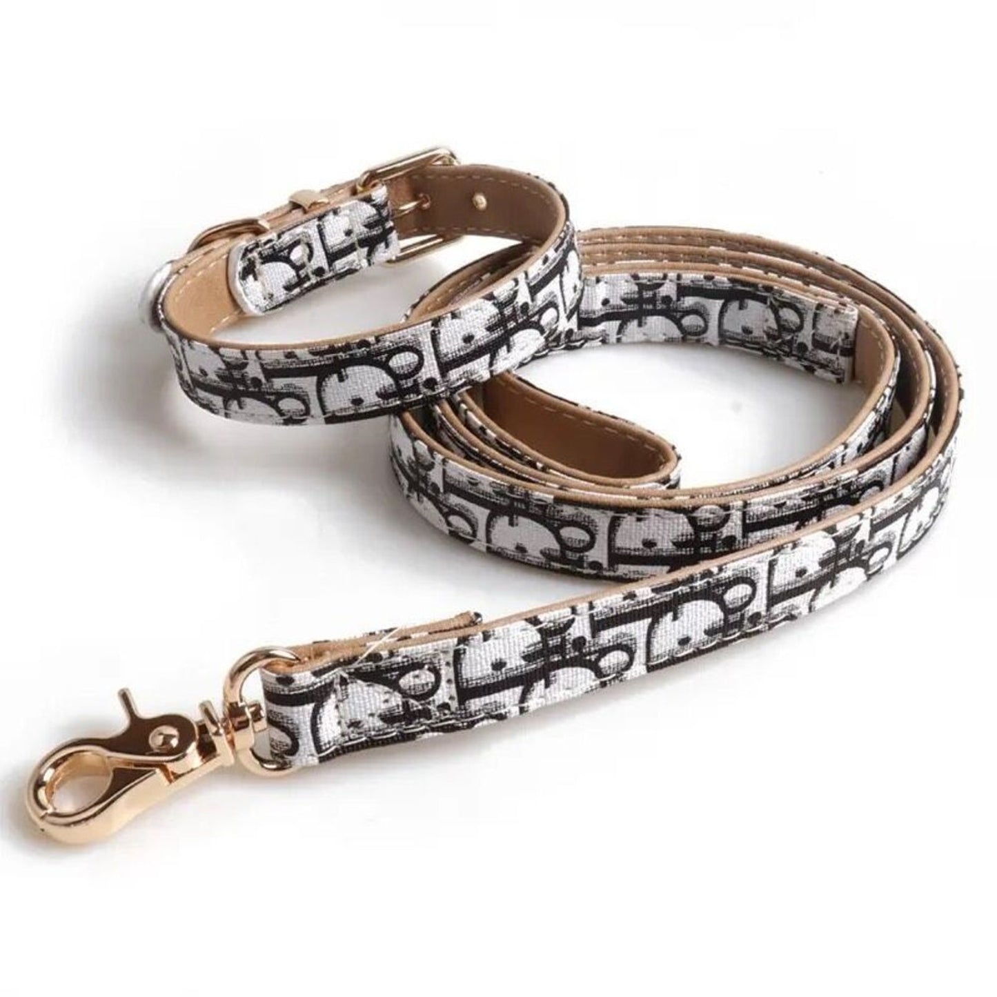 Dior Dog Leash Collar Trotter Set